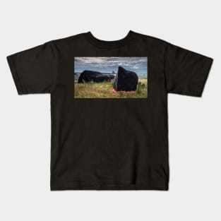 Lindisfarne's Boat Sheds Kids T-Shirt